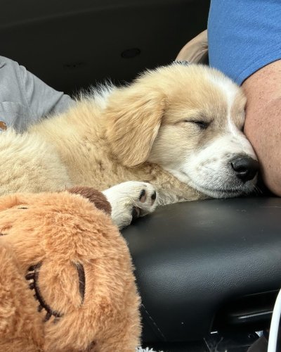 Carousel post from annelizabethjewelry.