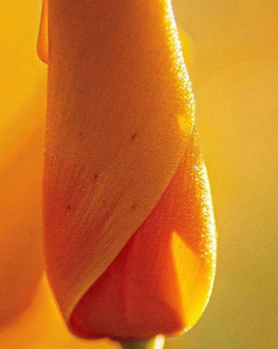 Photo post from visittucson.