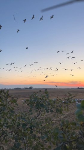 Video post from northernskiesoutfitters.