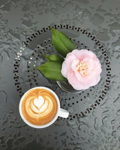 Photo post from equianocoffee.