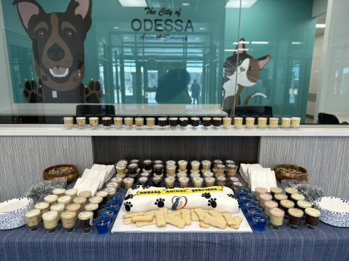 Photo post from marquettescakestudio.