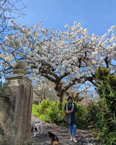 Carousel post from scott.parry.associates.