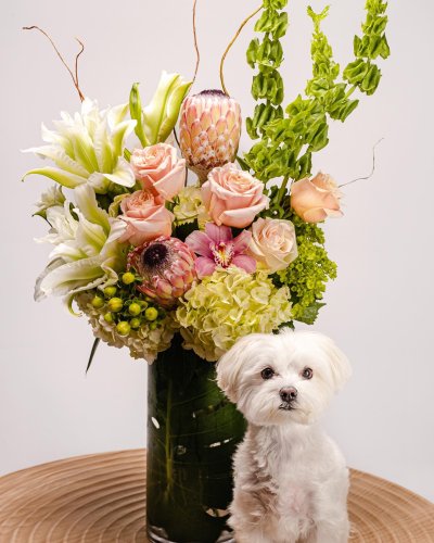 Photo post from thefamilyflowers.