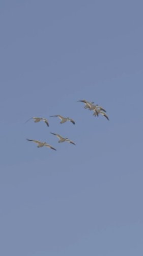 Video post from northernskiesoutfitters.