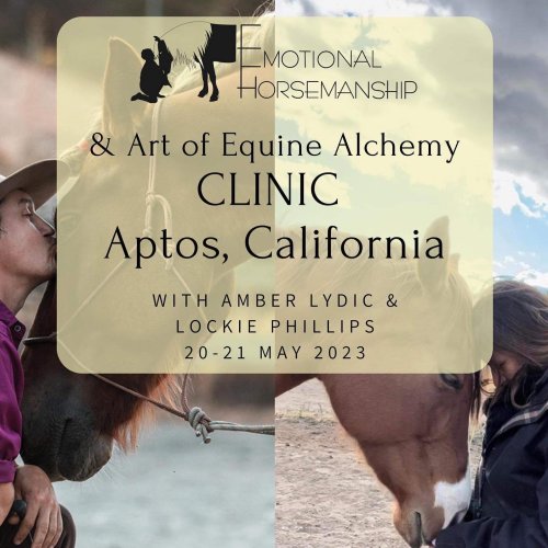 Photo post from __amber_lydic__.