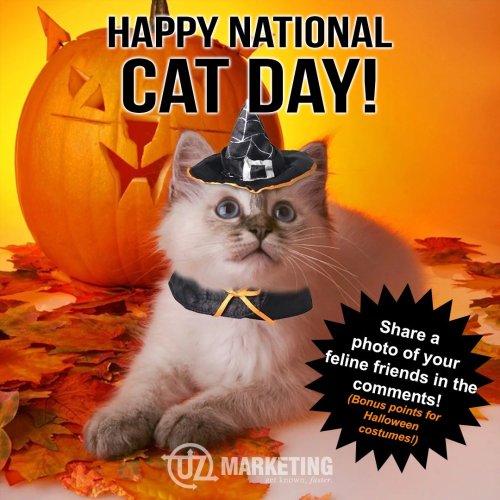 Photo post from uzmarketing.