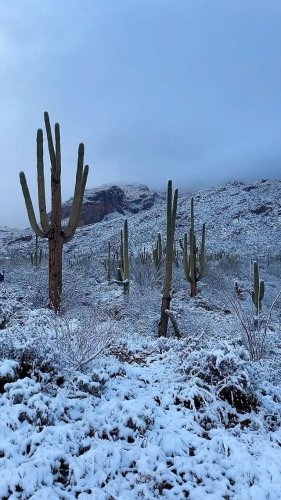 Video post from visittucson.