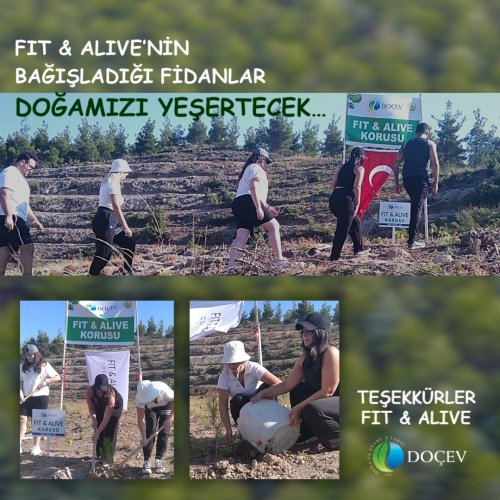 Photo post from dogavecevrevakfi.