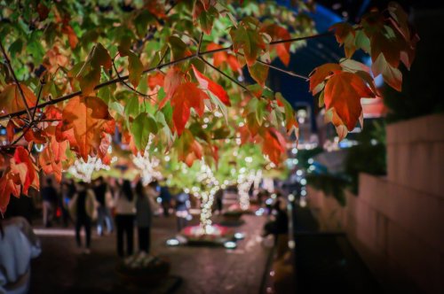 Photo post from ponpon.ju1838.