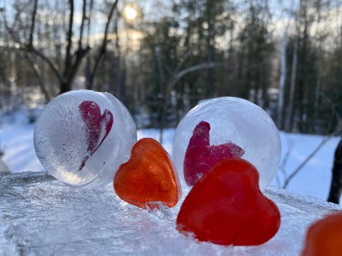 Photo post from icetheatreofny.