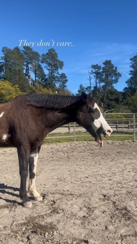 Video post from __amber_lydic__.