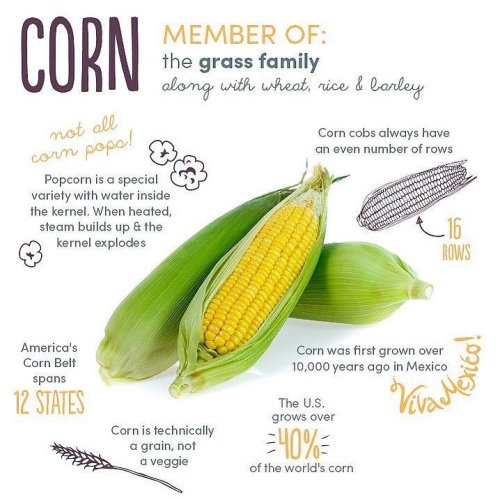 Photo post from farmbox_arizona.