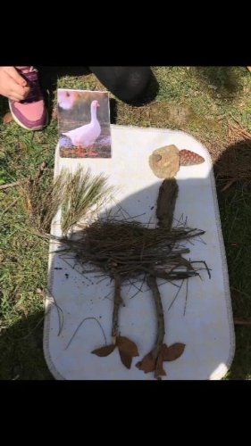Video post from tobycomtr.