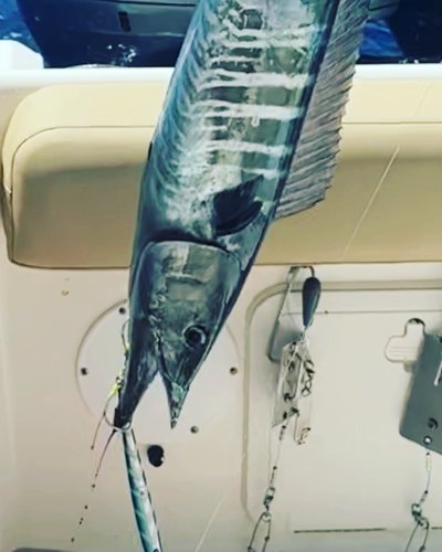 Photo post from ejs_fishing_charters.