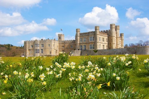 Photo post from kasarstays.