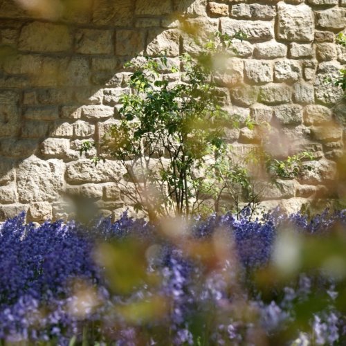 Photo post from wadhamoxford.