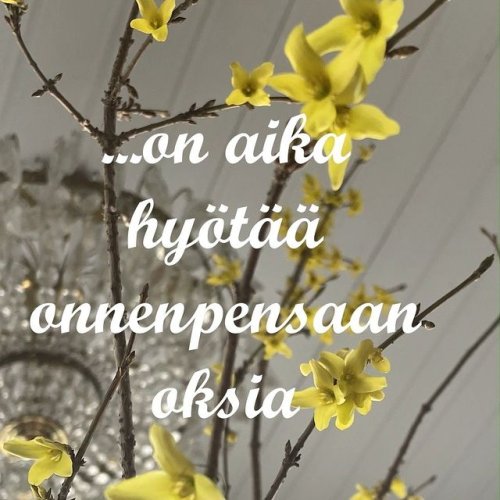 PostPhoto