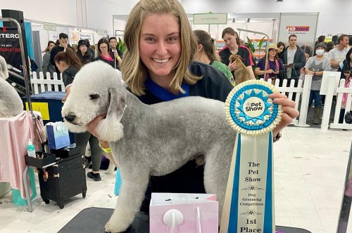 Carousel post from k9playtimedoggydaycare.