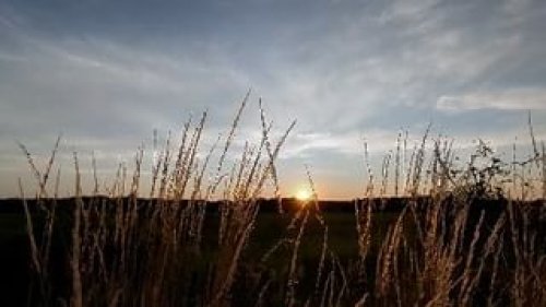 Video post from scott.parry.associates.