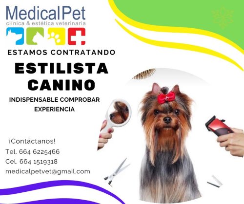 Photo post from medicalpettj.