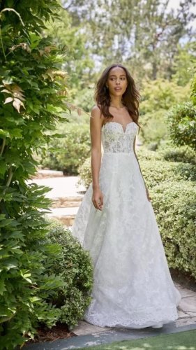 Video post from jolibride.