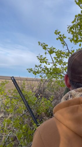 Video post from northernskiesoutfitters.