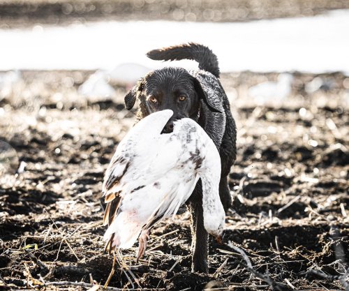 Photo post from northernskiesoutfitters.