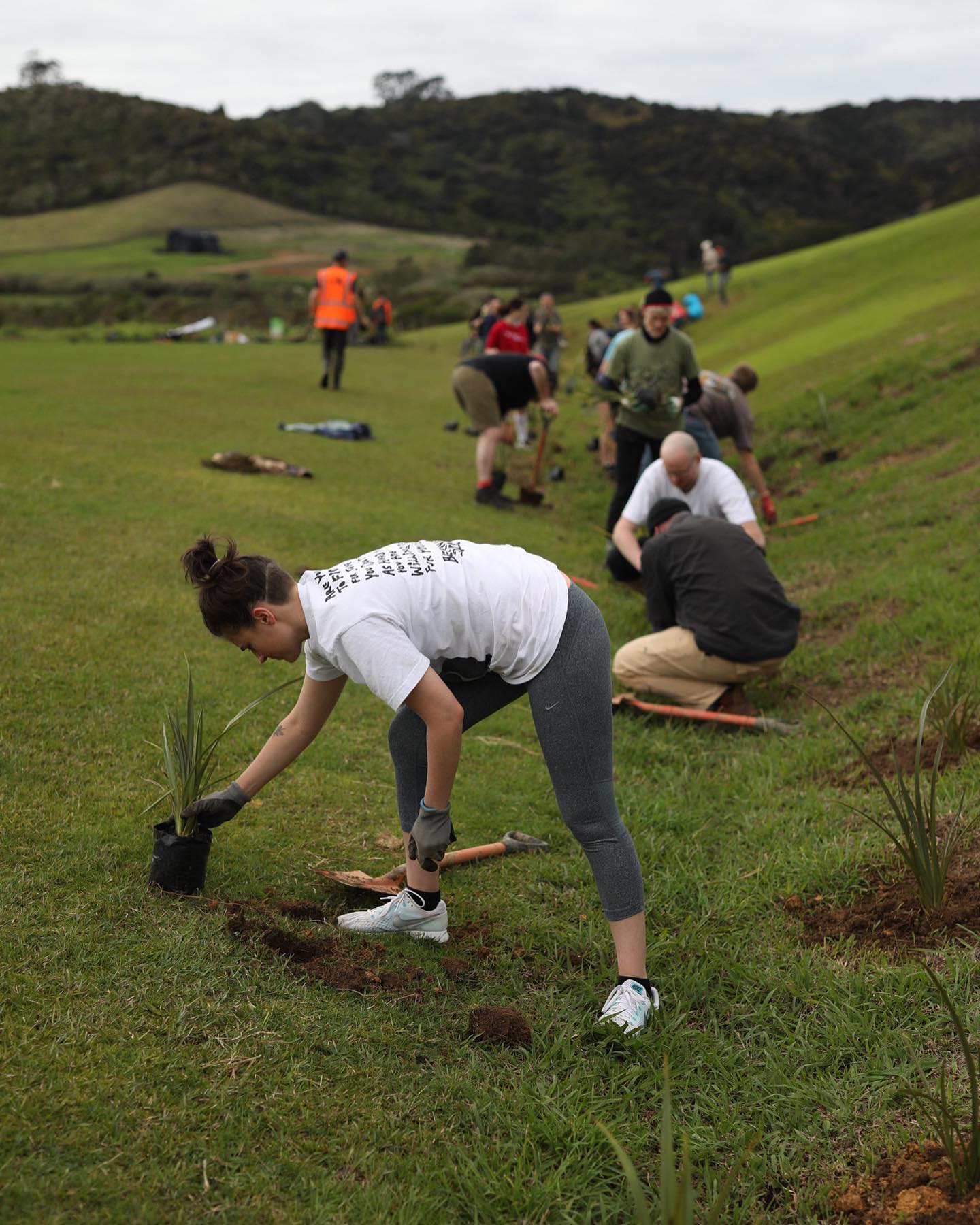 Carousel post from chloe.swarbrick.