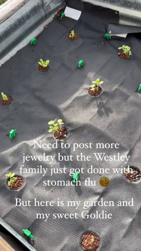 Video post from annelizabethjewelry.