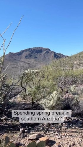 Video post from visittucson.