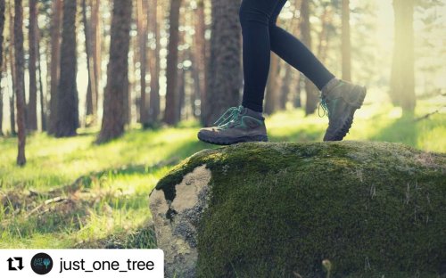 Photo post from saltfilm_locations.