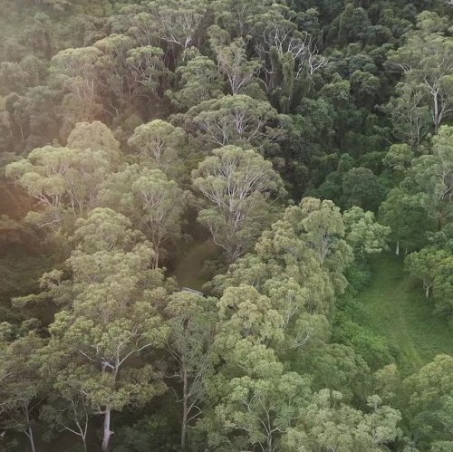 Video post from in2thewild.aus.