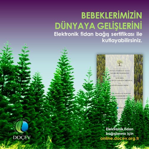 Photo post from dogavecevrevakfi.