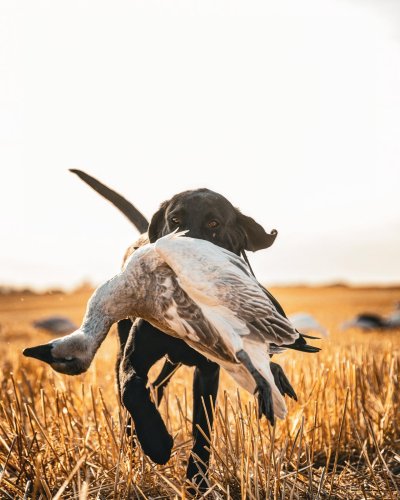 Photo post from northernskiesoutfitters.