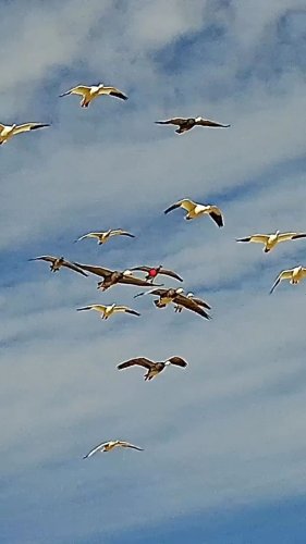 Video post from northernskiesoutfitters.