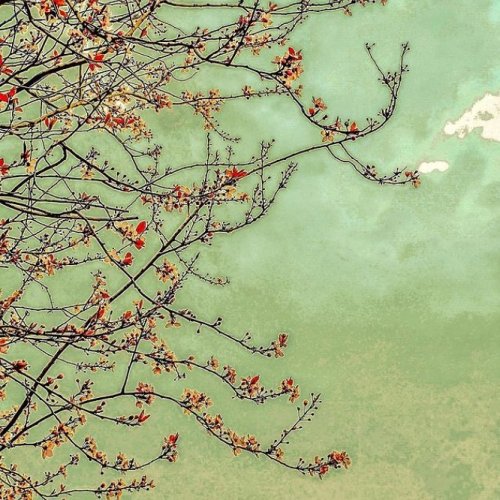 Photo post from rpslandscape.