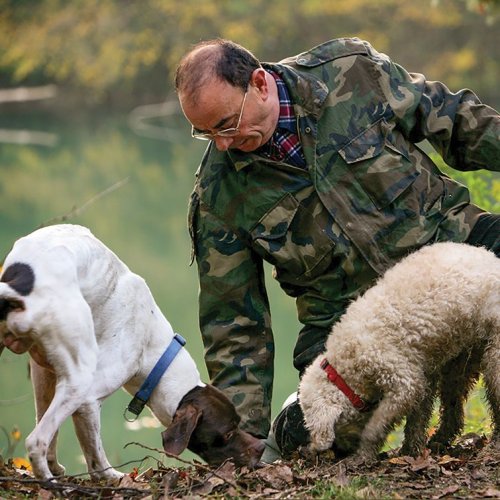 Carousel post from taucktravel.