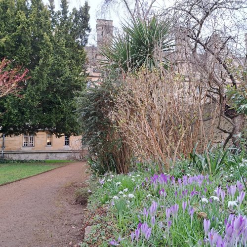 Photo post from wadhamoxford.