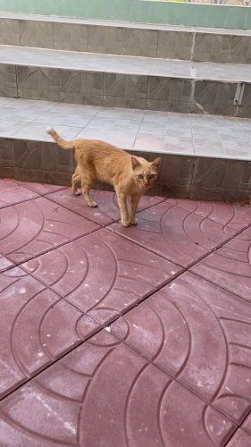 Video post from biesukrit_w.