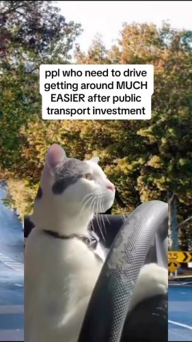 Video post from nzgreenparty.