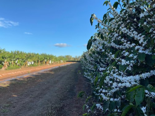 Photo post from howefarming.