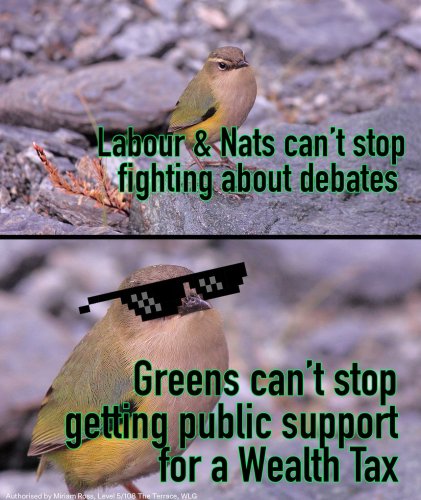 Photo post from nzgreenparty.