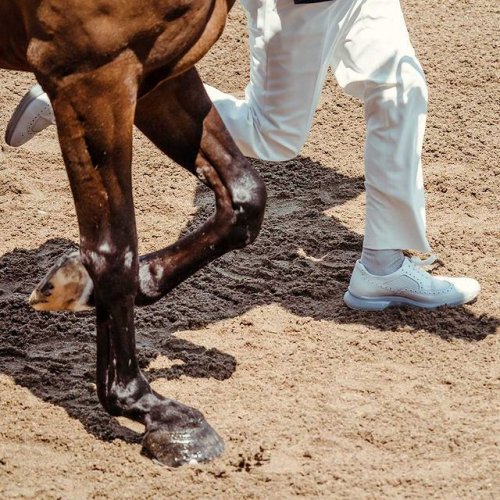 Photo post from fei_global.