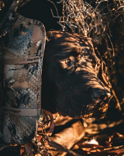 Photo post from northernskiesoutfitters.