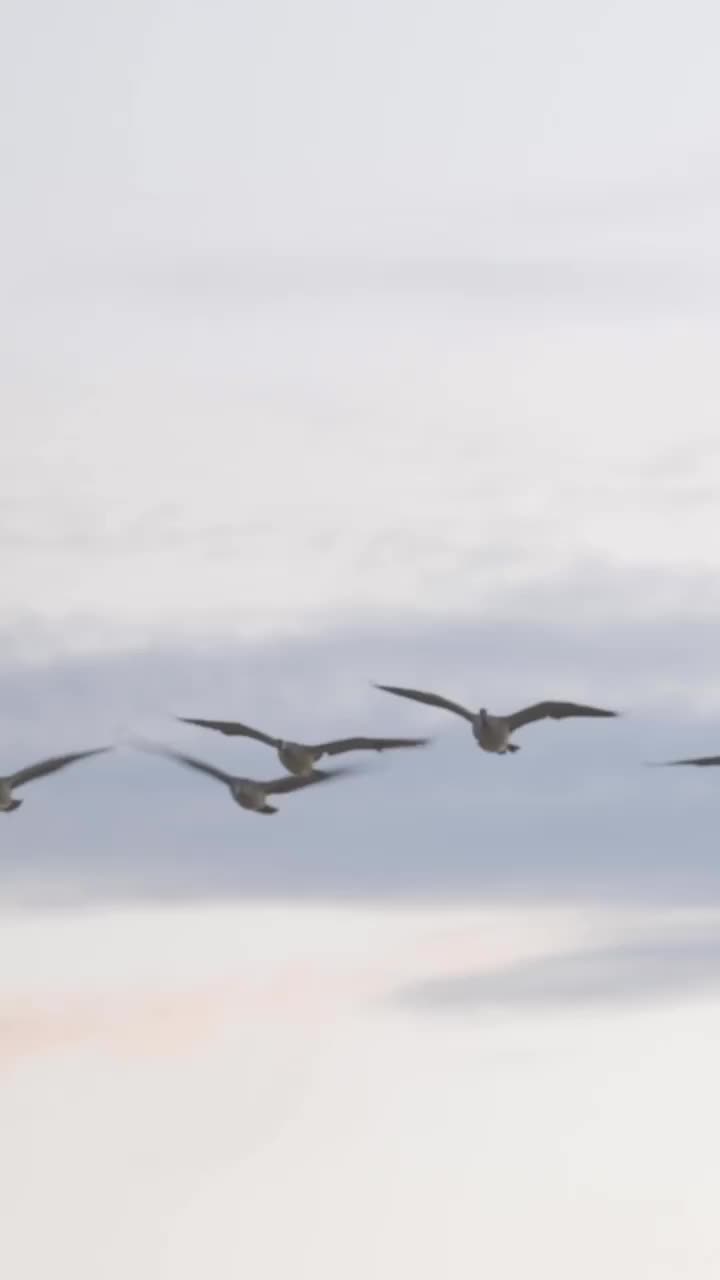 Video post from northernskiesoutfitters.