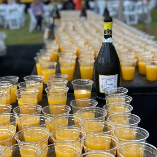 Photo post from dogwoodfestival.