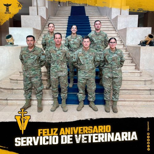 Photo post from escuelamilitaroficial.