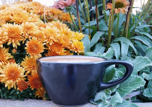 Photo post from nordaggioscoffee.