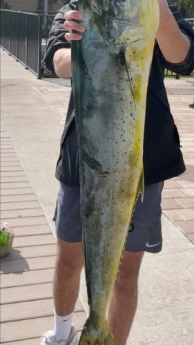 Video post from ejs_fishing_charters.
