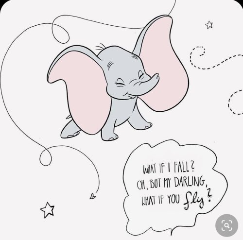 Photo post from thescentedmermaid.